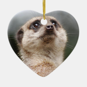 Ornement de Meerkat