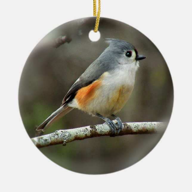 Ornement de mésange tuftée (Devant)