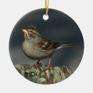 Ornement de moineau