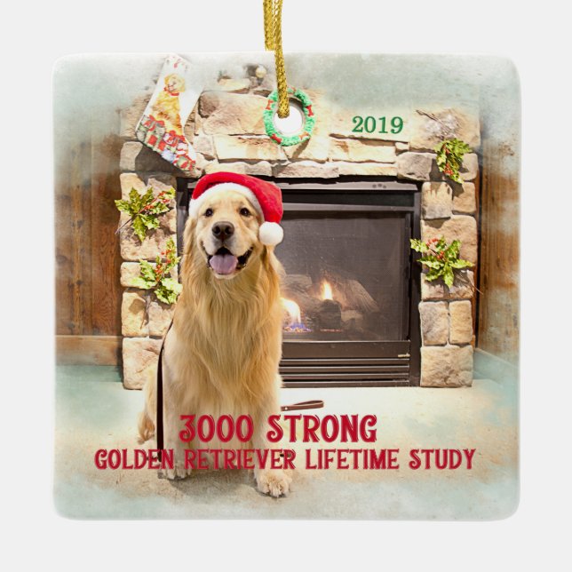 Ornement de Noël 2019 - 3000 Fort (Devant)