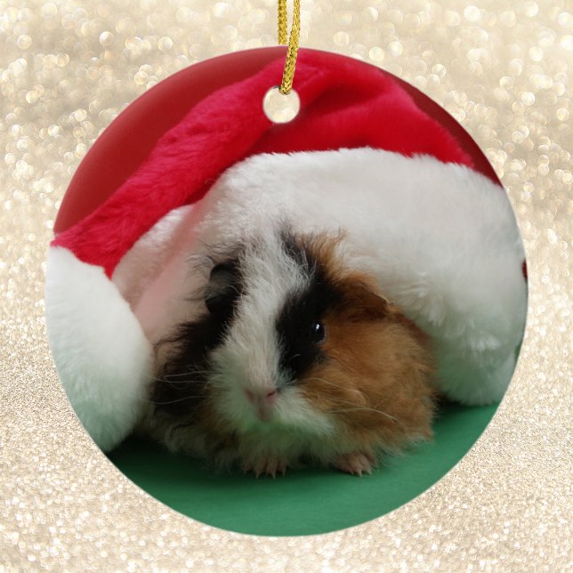 Ornement de Noël animal de cochon de Guinée (Créateur téléchargé)
