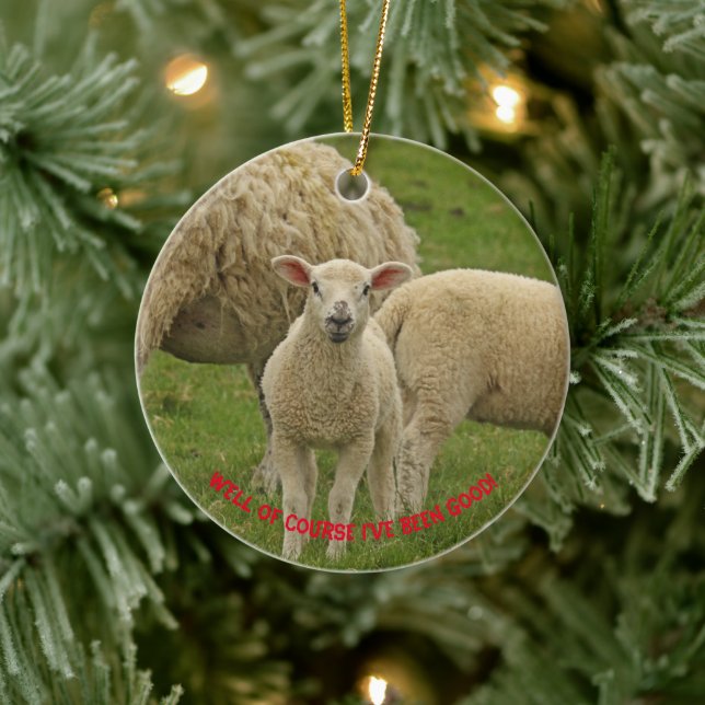 ornement de Noël avec agneau (Arbre)