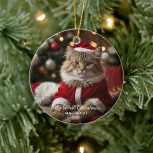 Ornement de Noël avec photo de chat pour le premie