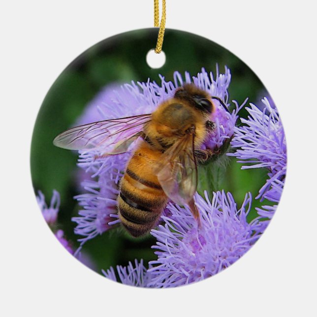 Ornement de Noël d'abeille (Devant)