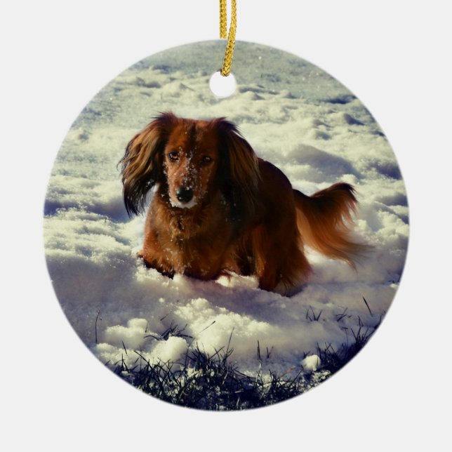 Ornement de Noël Dachshund avec photo (Devant)