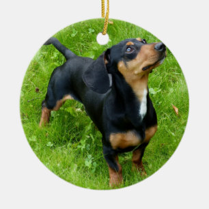 Ornement de Noël Dachshund avec votre photo