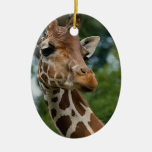 Ornement de Noël d'amants de girafe