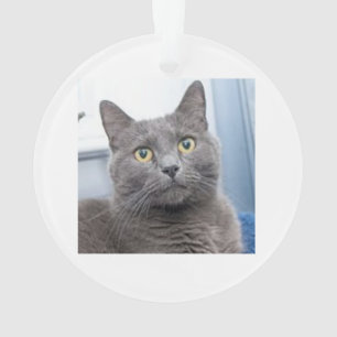 Ornement de Noël de bon côté