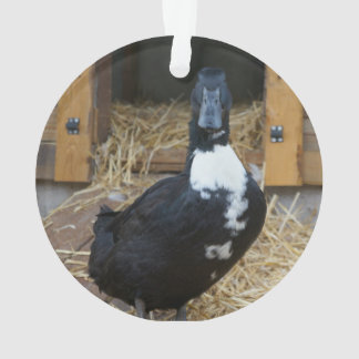 Ornement de Noël de canard