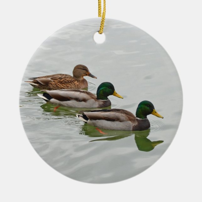 Ornement de Noël de canards de Mallard (Devant)