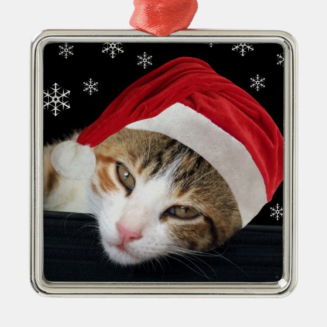 Ornement de Noël de chat (Devant)