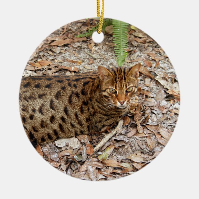 Ornement de Noël de chat du Bengale (Devant)