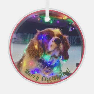 Ornement de Noël de chien coloré