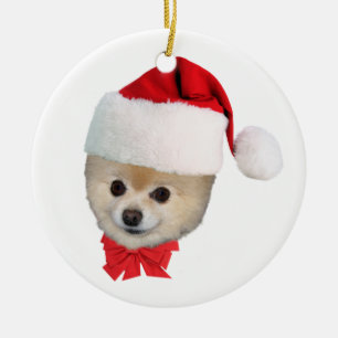 Ornement de Noël de chien de Pomeranian