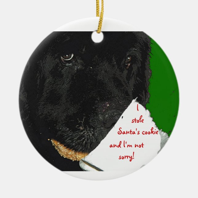 Ornement de Noël de chien de Terre-Neuve (Devant)