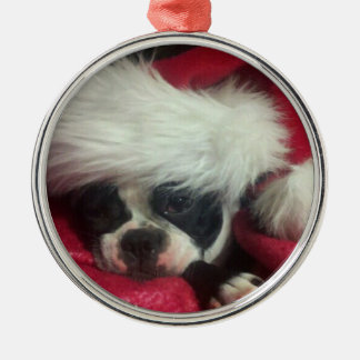 Ornement de Noël de chien terrier de Boston