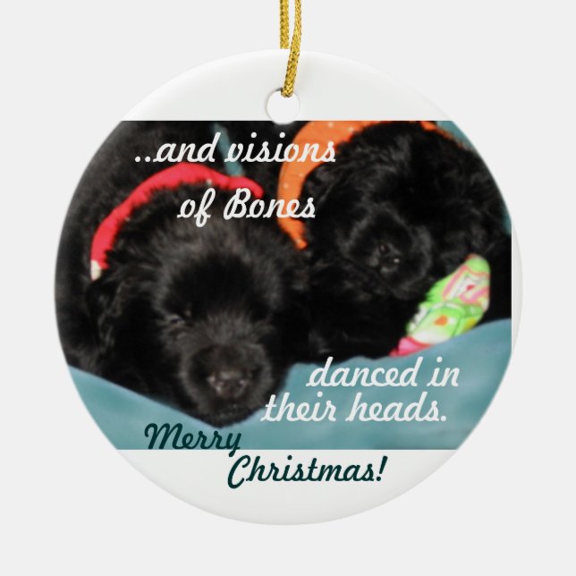 Ornement de Noël de chiots de Terre-Neuve (Devant)