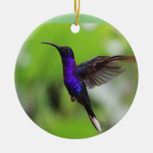 Ornement de Noël de colibri pourpre