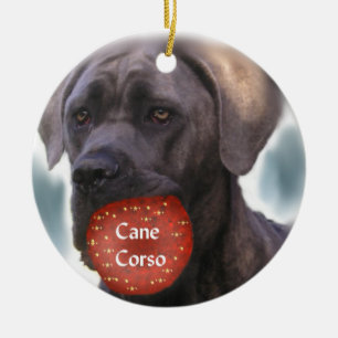 Ornement de Noël de Corso de canne