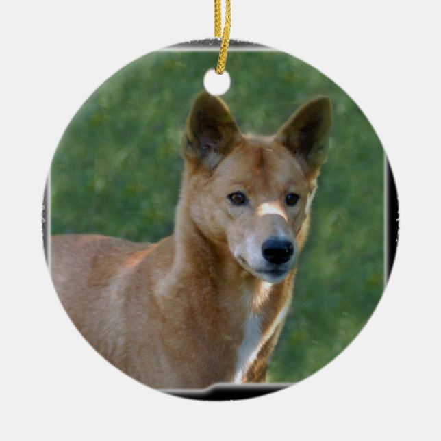 Ornement de Noël de dingo (Devant)