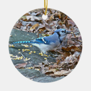 Ornement de Noël de geai bleu