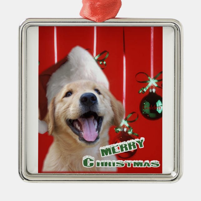 Ornement de Noël de Golden Retriever (Devant)