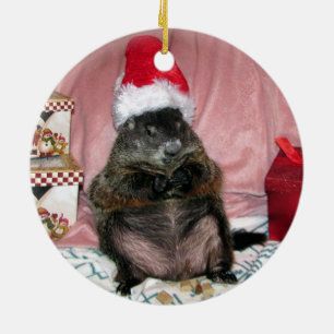 Ornement de Noël de Groundhog d'animal familier d