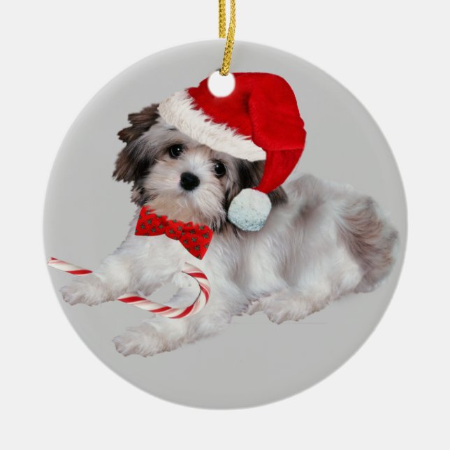 Ornement de Noël de Havanese (Devant)