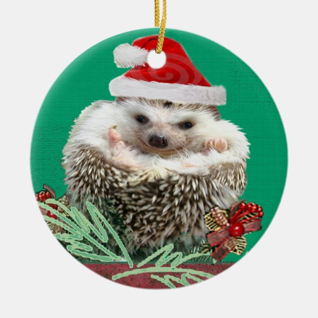 Ornement de Noël de hérisson (Devant)