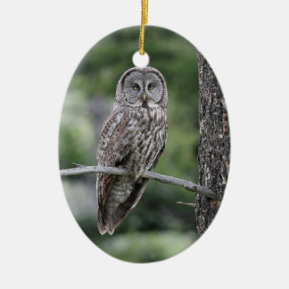 Ornement de Noël de hibou - hibou de grand gris