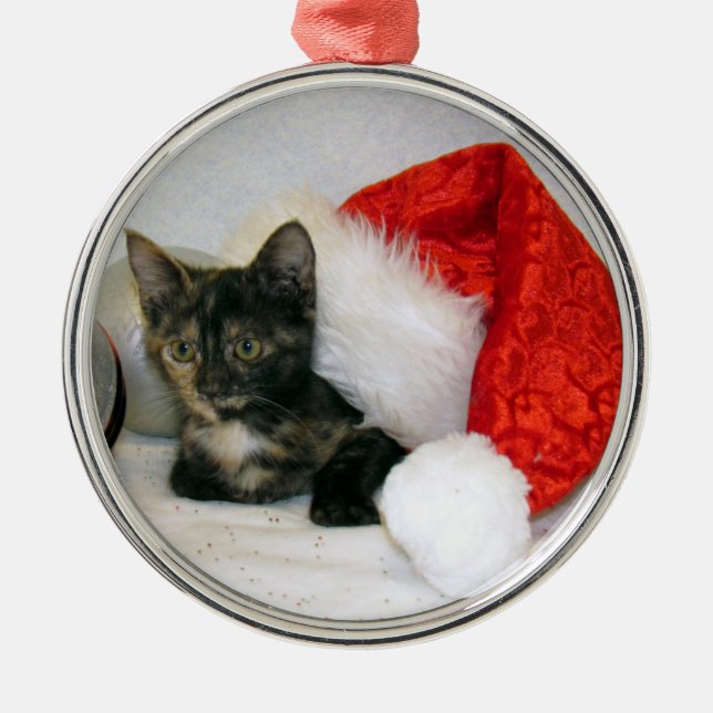 Ornement de Noël de Holley (Chat / Chaton) (Devant)