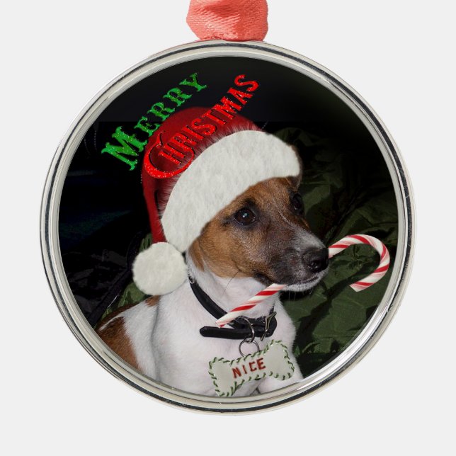 Ornement de Noël de Jack Russell Terrier (Devant)