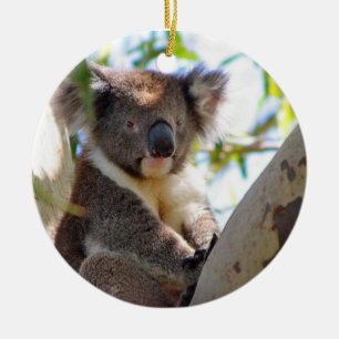 Ornement de Noël de koala