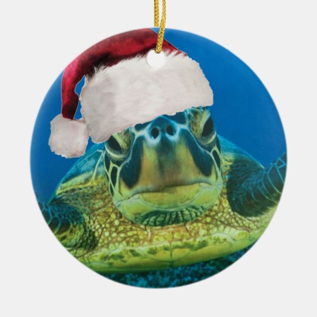Ornement de Noël de la tortue (Devant)