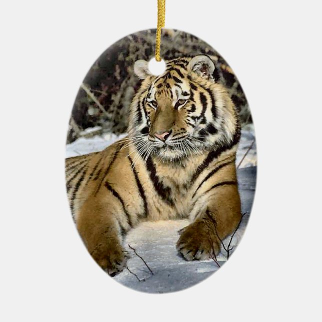 Ornement de Noël de l'art du tigre sauvage (Devant)