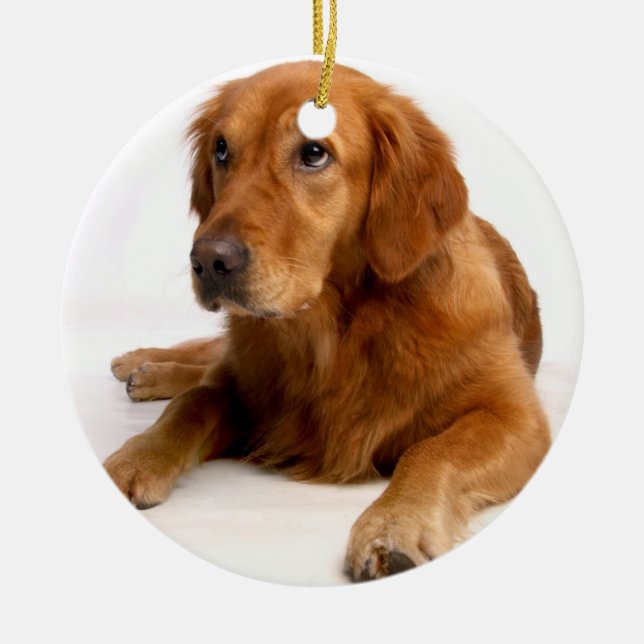Ornement de Noël de l'épreuve d'or avec photo (Devant)