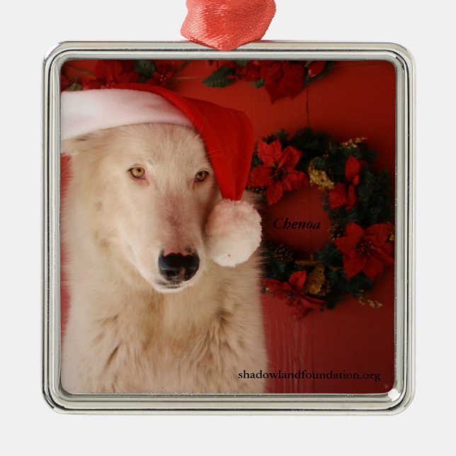 Ornement de Noël de loup blanc (Devant)