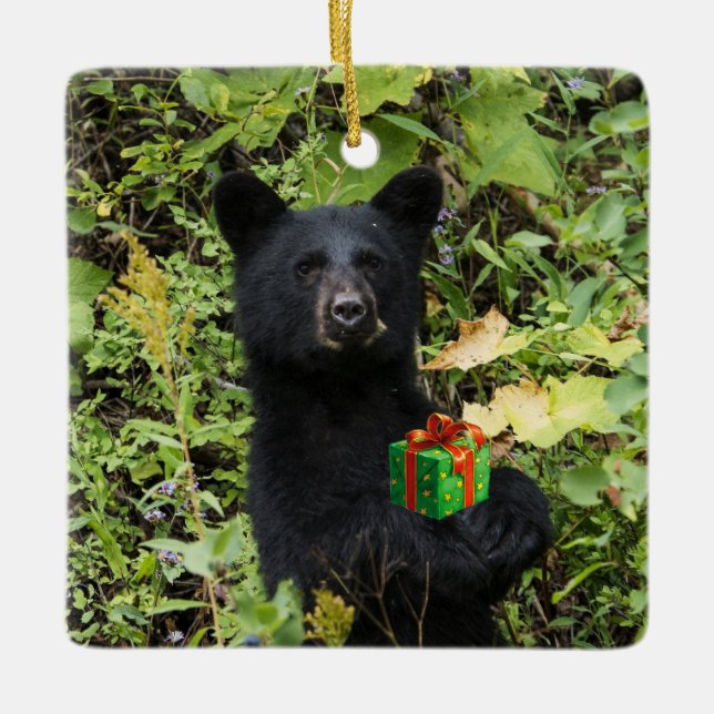 Ornement de Noël de l'ours noir (Devant)