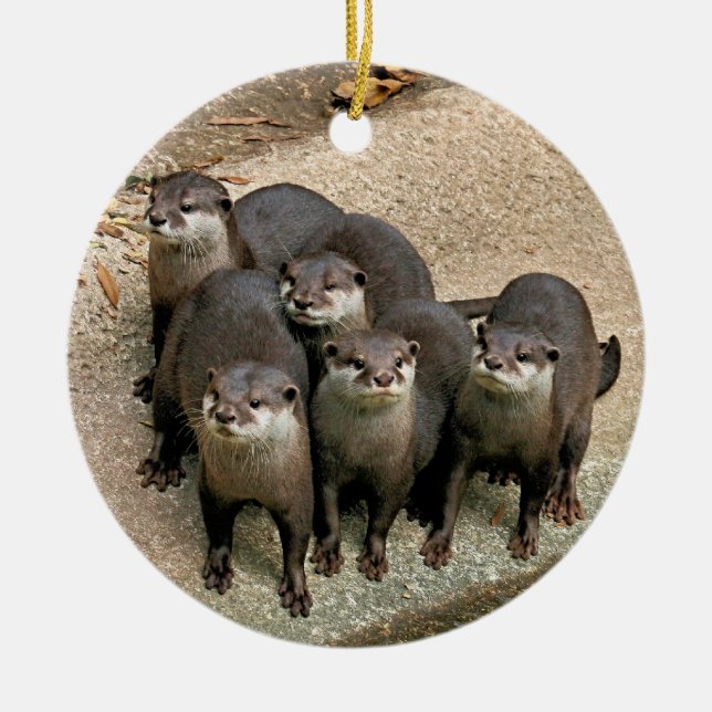 Ornement de Noël de loutres de faune (Devant)