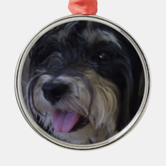 ornement de Noël de maltipoo