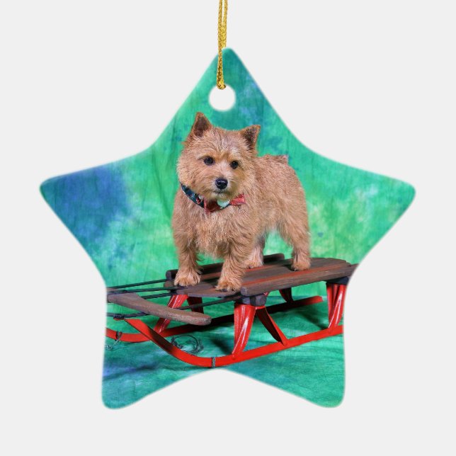Ornement de Noël de Norwich Terrier (Devant)