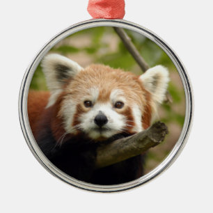Ornement de Noël de panda rouge