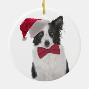 Ornement de Noël de père Noël Collie