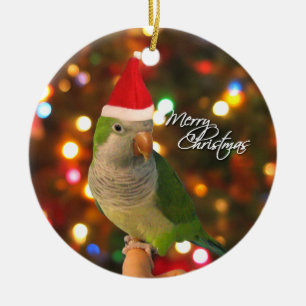 Ornement de Noël de perruche de quaker de Père