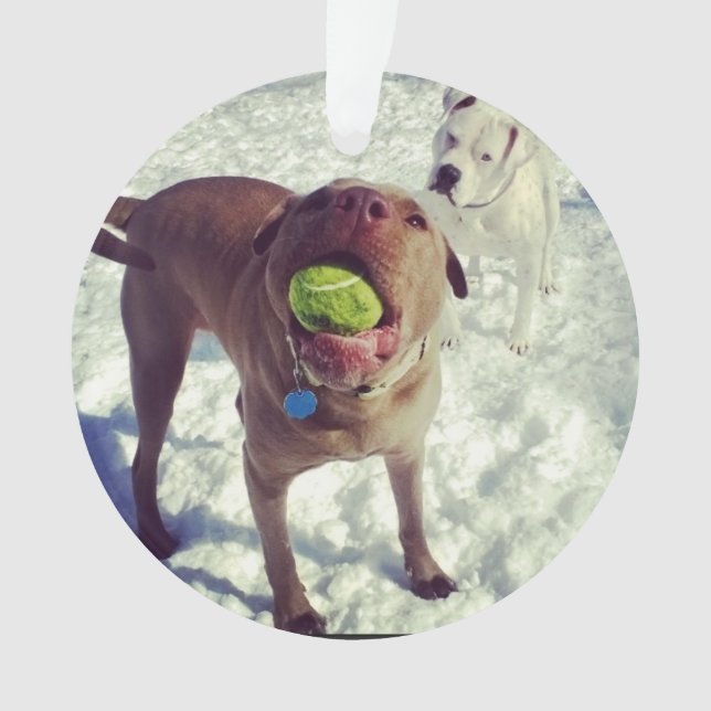 Ornement de Noël de pitbull (devant)