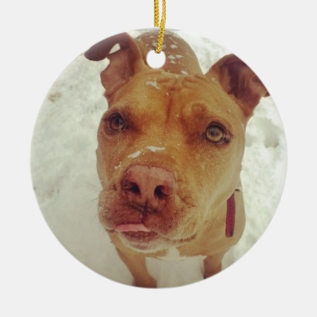 Ornement de Noël de pitbull (Devant)