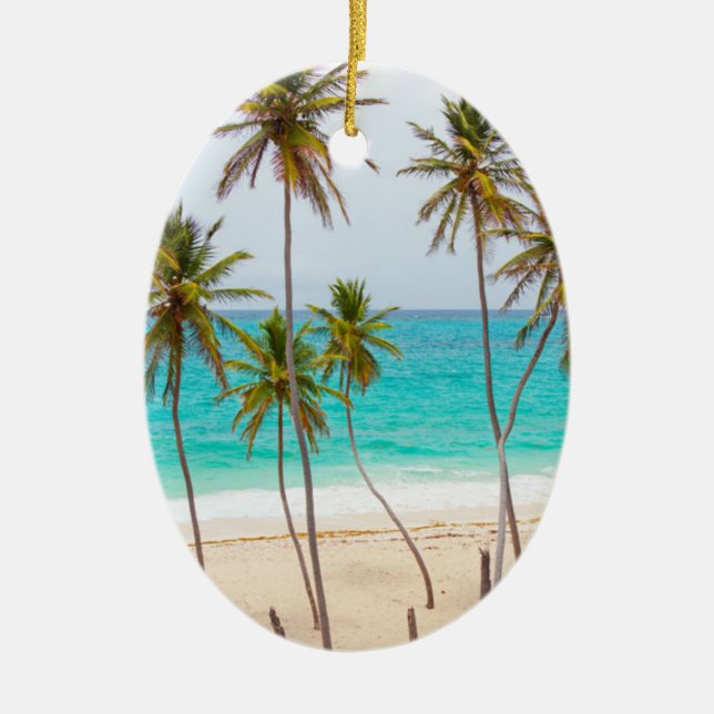 Ornement de Noël de plage tropicale (Devant)