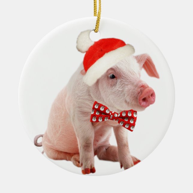 Ornement de Noël de porcs de ventre de pot (Devant)