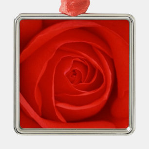 Ornement de Noël de rose rouge
