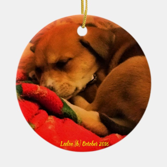 Ornement de Noël de sommeil Leeloo (Devant)